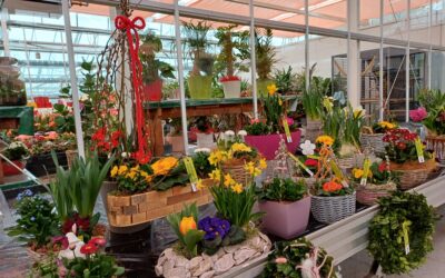 Ostern in der Gärtnerei